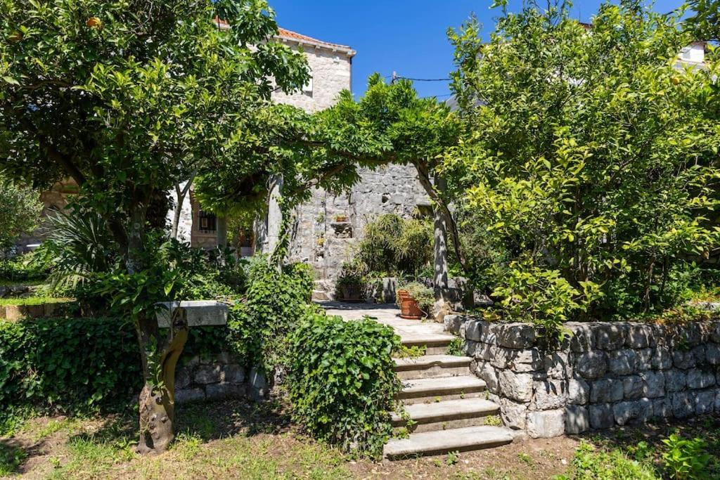 Heritage Villa Bakovic Dubrovník Exteriér fotografie