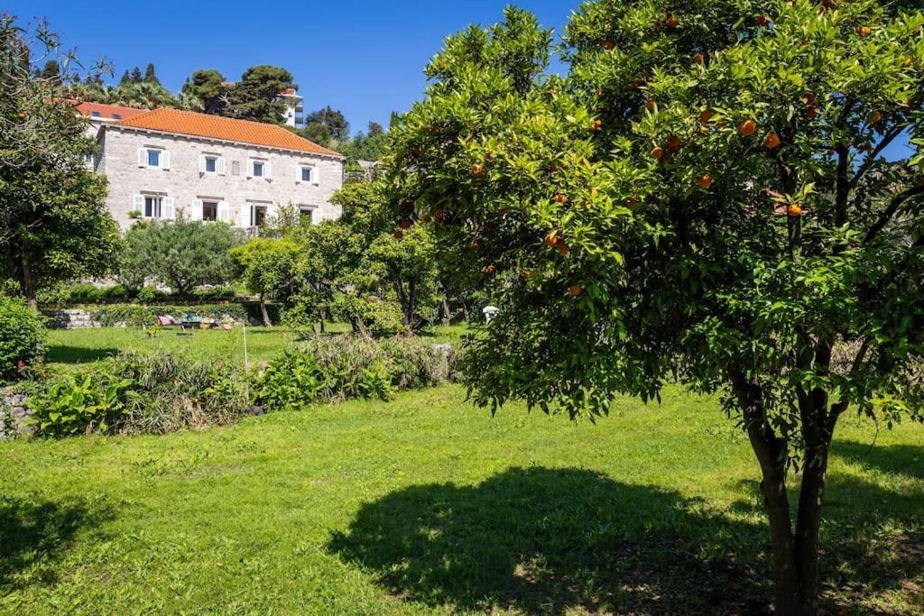 Heritage Villa Bakovic Dubrovník Exteriér fotografie